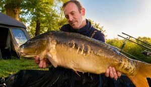 Mirror Carp
