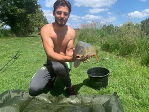 Common Carp