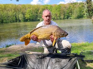 Common Carp