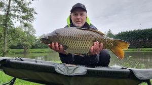 Common Carp