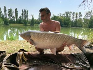 Grass Carp
