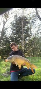 Mirror Carp