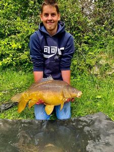 Mirror Carp