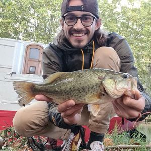 Smallmouth Bass