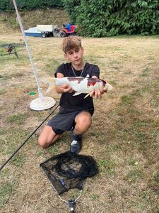 Koï Fish