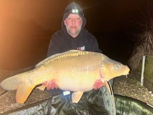 Mirror Carp