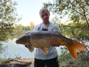 Mirror Carp