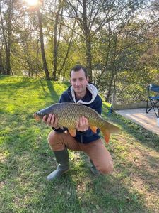 Common Carp