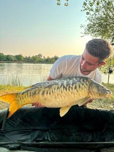 Mirror Carp