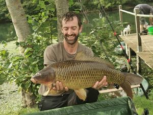 Common Carp