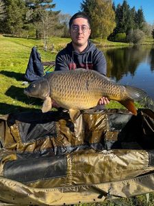 Common Carp