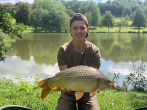 Common Carp