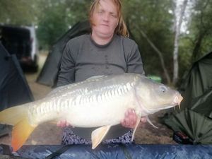 Mirror Carp