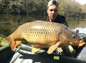 Common Carp