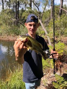 Largemouth Bass
