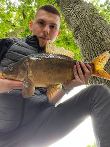 Leather Carp