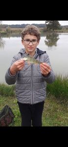 European Perch