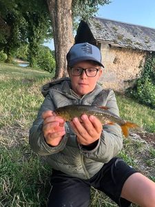 Roach