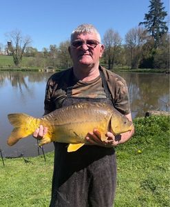 Mirror Carp