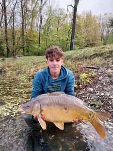 Mirror Carp