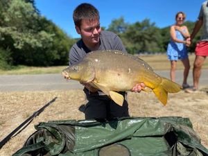 Mirror Carp