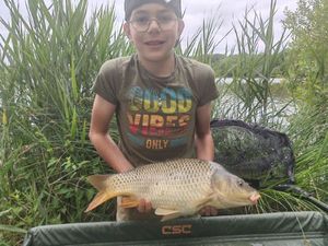 Common Carp