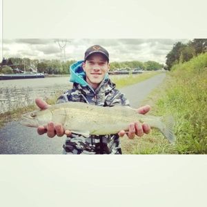 Zander