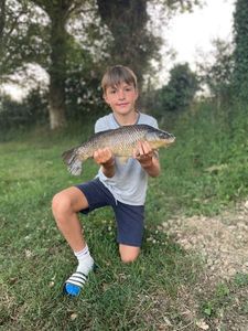 Common Carp