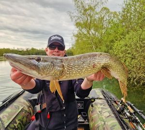 Northern Pike