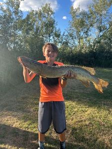 Northern Pike