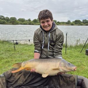 Common Carp