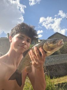 Chub