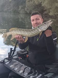 Northern Pike