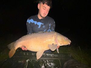 Mirror Carp