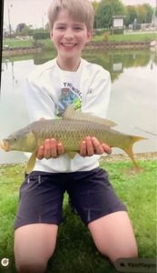 Silver Carp