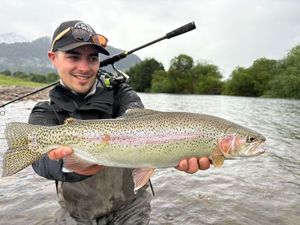Rainbow Trout