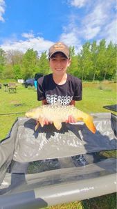 Mirror Carp