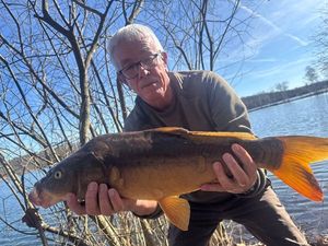 Mirror Carp