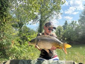 Mirror Carp