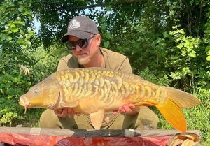 Mirror Carp