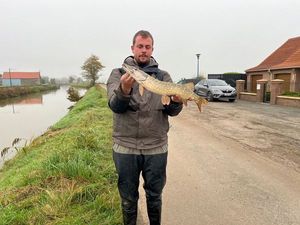 Northern Pike