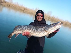 Northern Pike