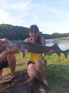 Sturgeon