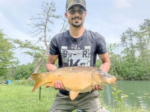 Mirror Carp
