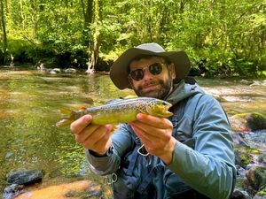 Brown Trout