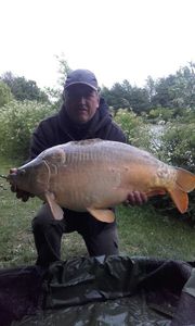 Mirror Carp