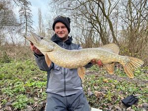 Northern Pike