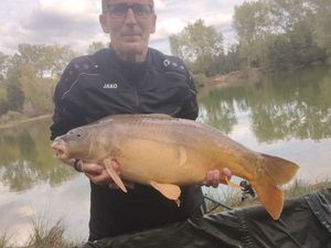 Mirror Carp