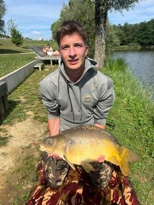Common Carp