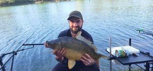 Mirror Carp